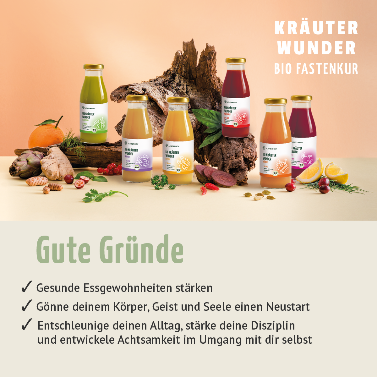 Kräuterwunder Bio Fastenkur 7 Tage (42 Flaschen)