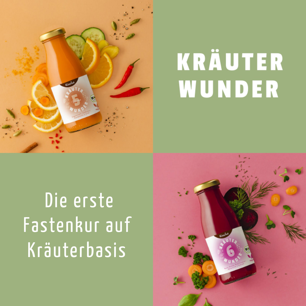 Kräuterwunder Bio Fastenkur 1 Tag (6 Flaschen)
