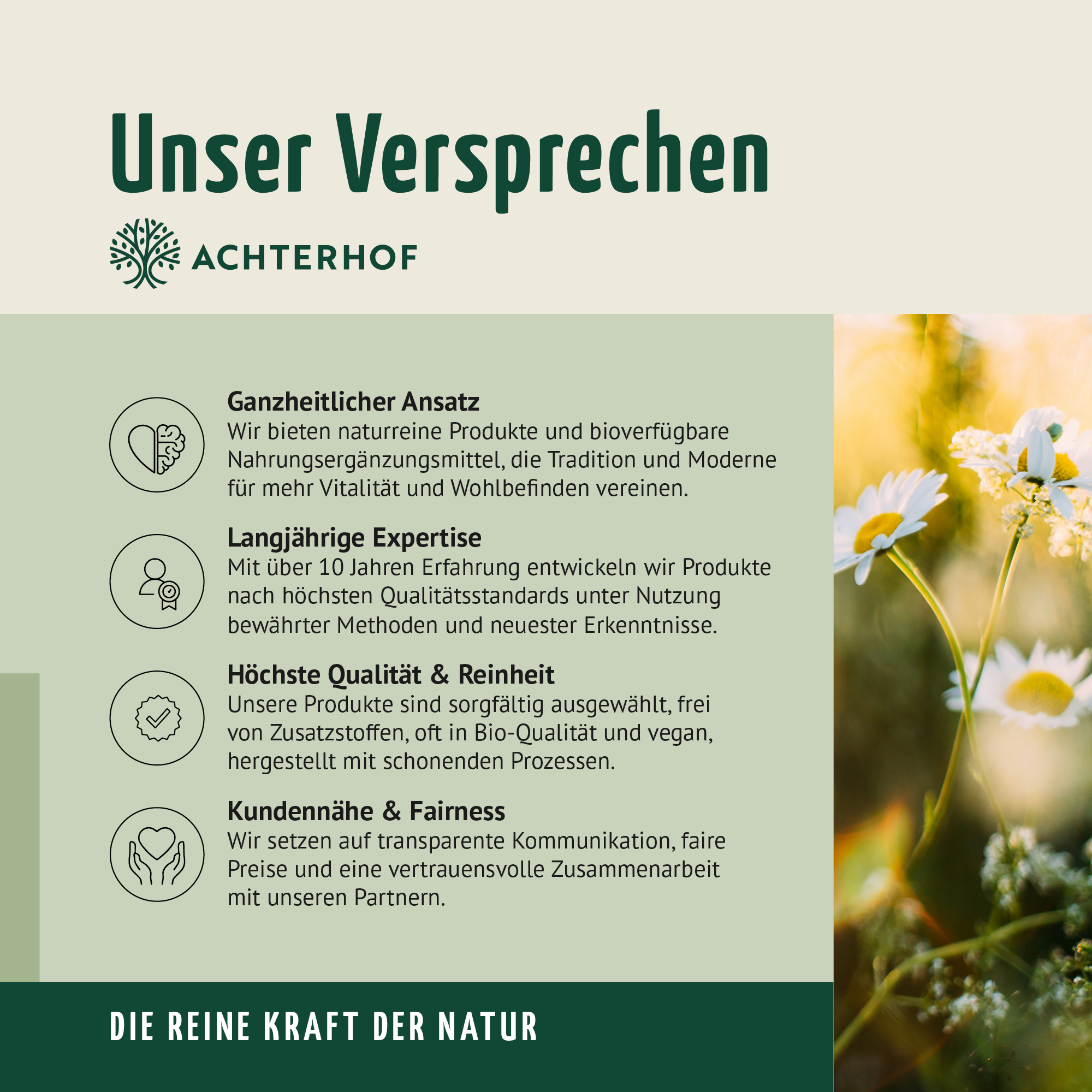 Kreatin Monohydrat Pulver (500g)