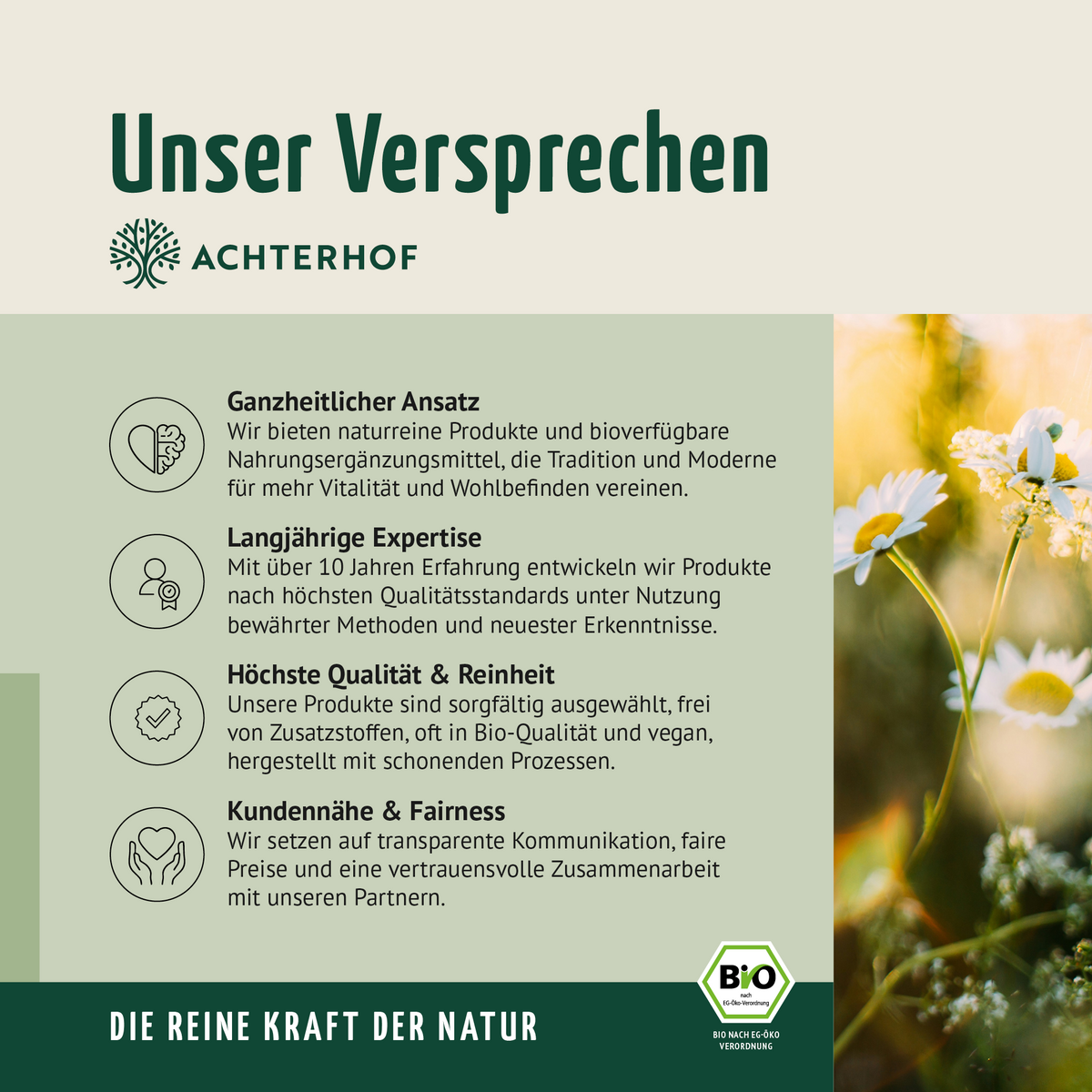 Löwenzahnwurzel Pulver Bio (100g)