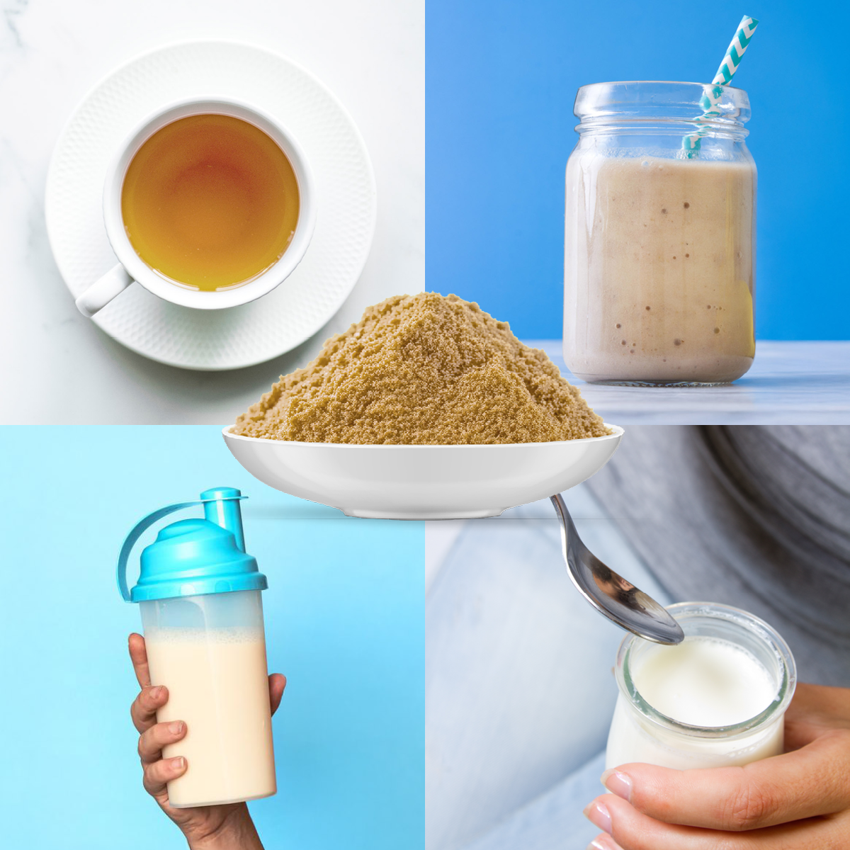 Bio Lions Mane Pilzpulver (100g)