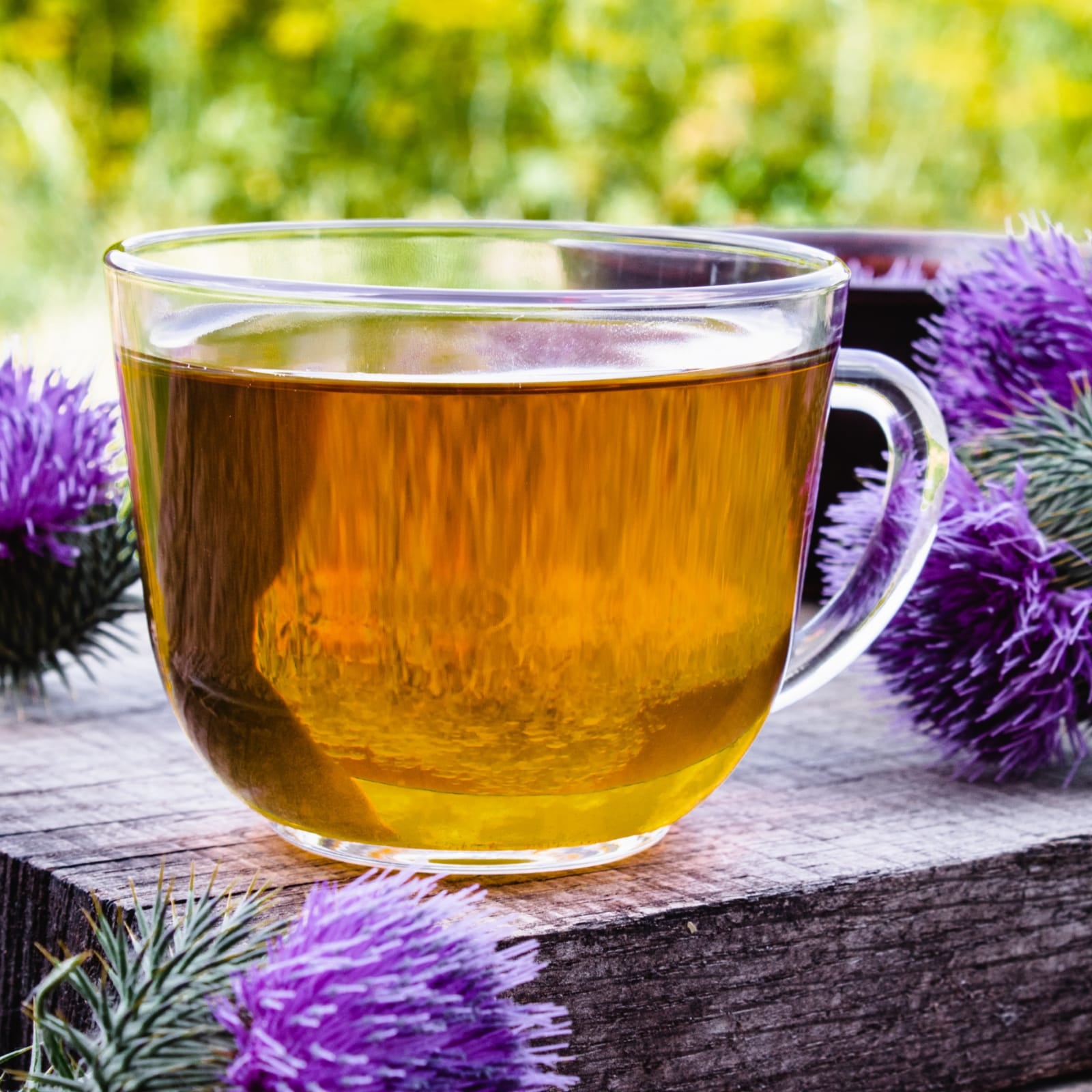 Mariendistelsamen ganz (250g)