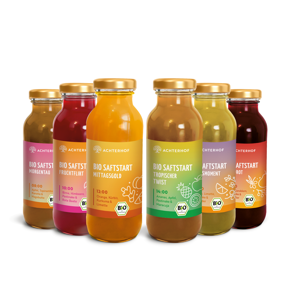 Saftstart Bio Saftkur 1-7 Tage (6 Flaschen pro Tag)