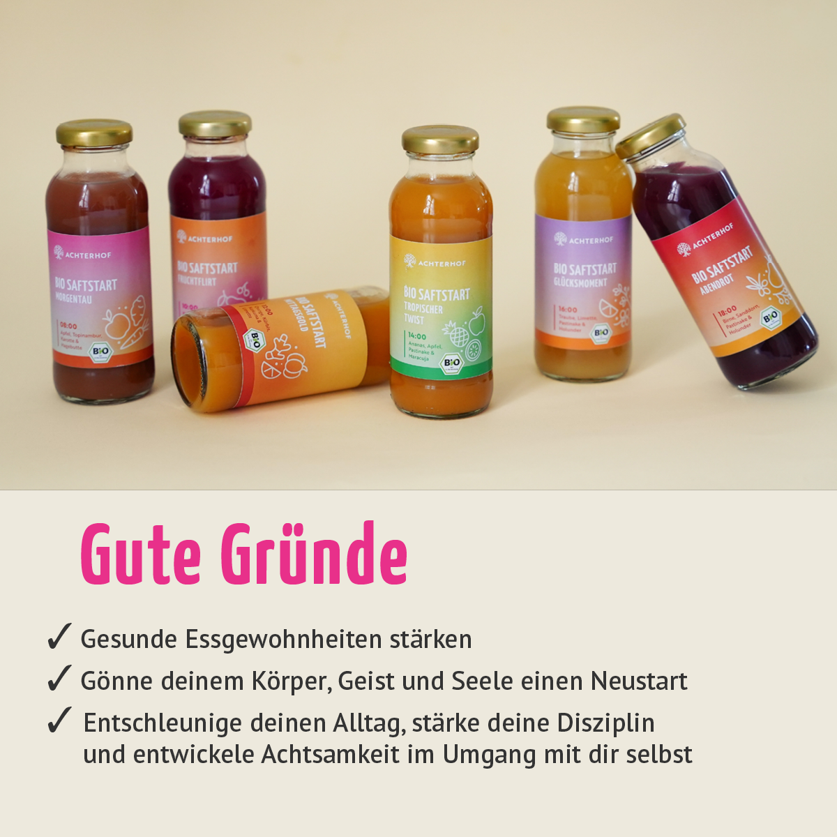 Saftstart Bio Saftkur 1-7 Tage (6 Flaschen pro Tag)