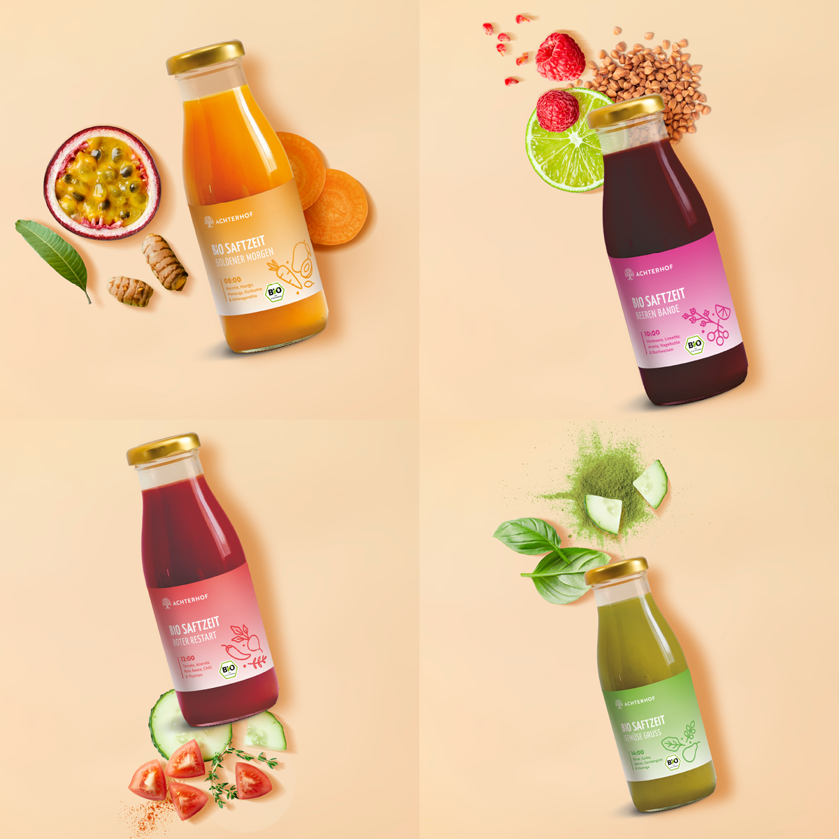 Saftzeit Bio Fastenkur 5 Tage (30 Flaschen)