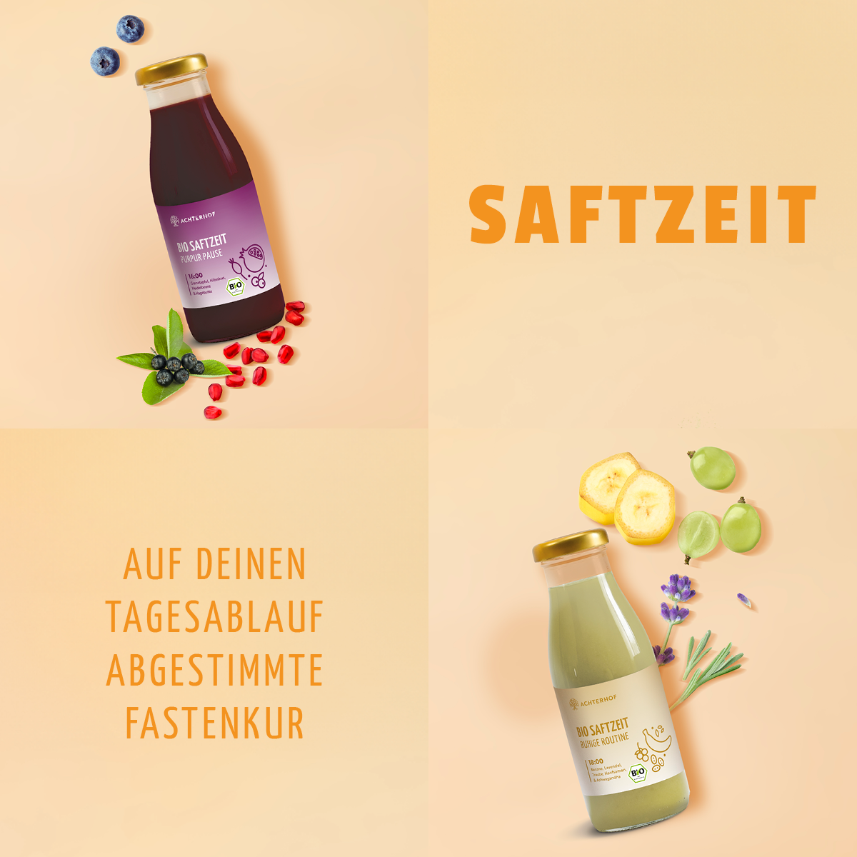 Saftzeit Bio Fastenkur 3 Tage (18 Flaschen)